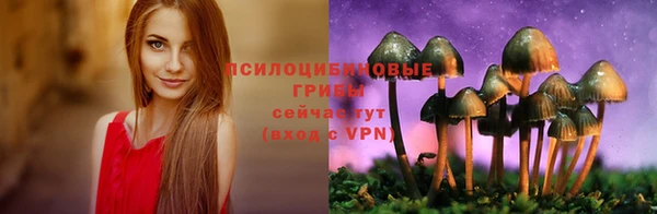 гидропоника Алексеевка