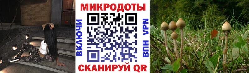 hydra   Махачкала  Псилоцибиновые грибы Magic Shrooms 